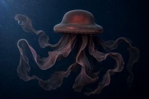 phantom-giant-jellyfish